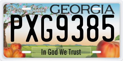 GA license plate PXG9385