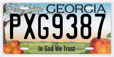 GA license plate PXG9387