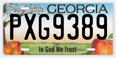 GA license plate PXG9389