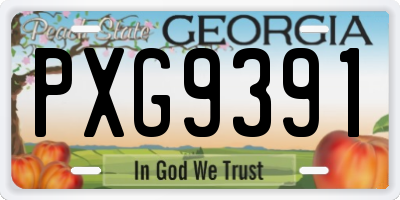 GA license plate PXG9391