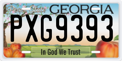 GA license plate PXG9393
