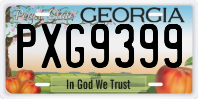 GA license plate PXG9399