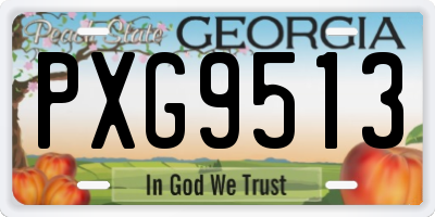 GA license plate PXG9513
