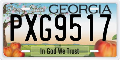 GA license plate PXG9517