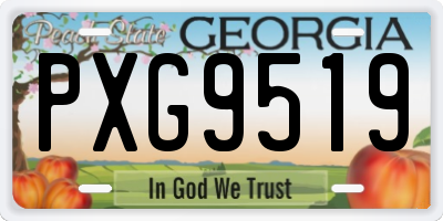 GA license plate PXG9519
