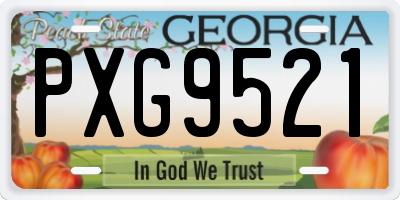 GA license plate PXG9521