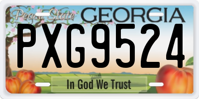 GA license plate PXG9524