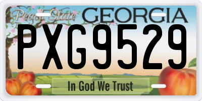 GA license plate PXG9529