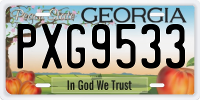 GA license plate PXG9533