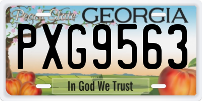 GA license plate PXG9563