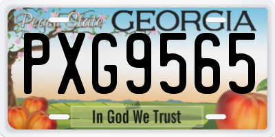 GA license plate PXG9565