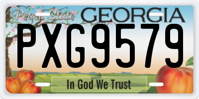 GA license plate PXG9579