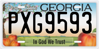 GA license plate PXG9593