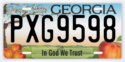 GA license plate PXG9598