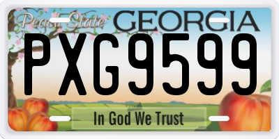 GA license plate PXG9599