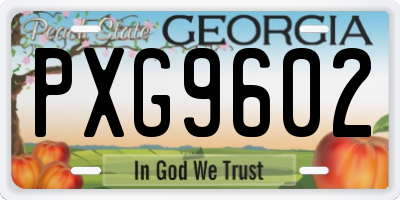 GA license plate PXG9602