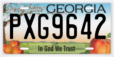 GA license plate PXG9642