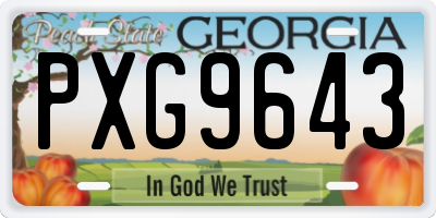 GA license plate PXG9643