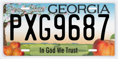 GA license plate PXG9687