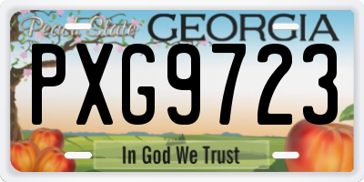 GA license plate PXG9723
