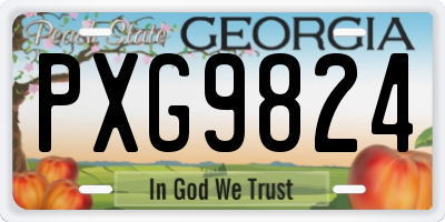 GA license plate PXG9824