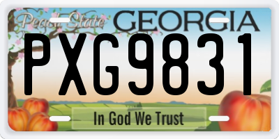 GA license plate PXG9831