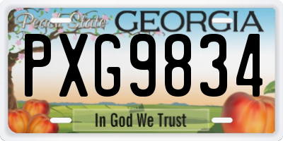 GA license plate PXG9834
