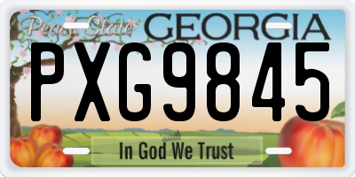 GA license plate PXG9845