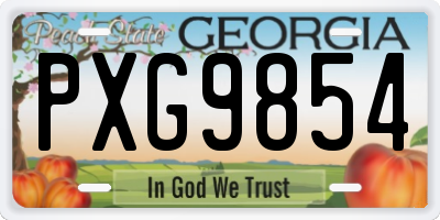 GA license plate PXG9854