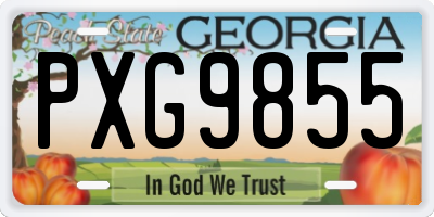 GA license plate PXG9855