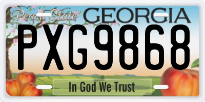 GA license plate PXG9868