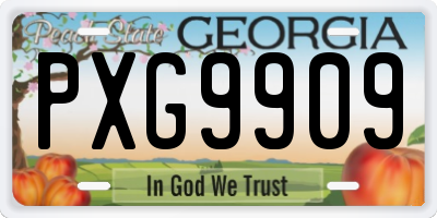GA license plate PXG9909