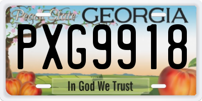 GA license plate PXG9918
