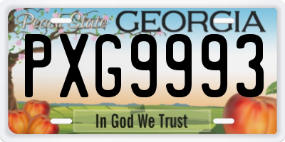 GA license plate PXG9993
