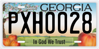 GA license plate PXH0028