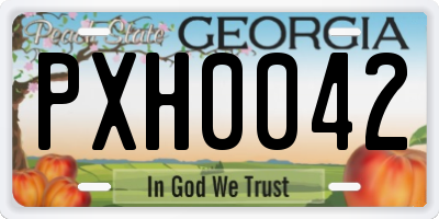 GA license plate PXH0042