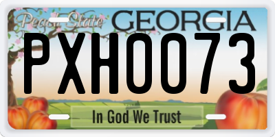 GA license plate PXH0073