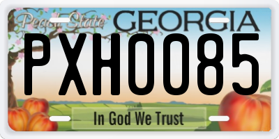 GA license plate PXH0085