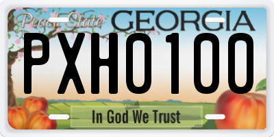 GA license plate PXH0100