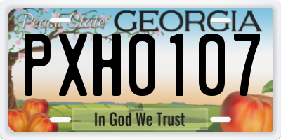 GA license plate PXH0107