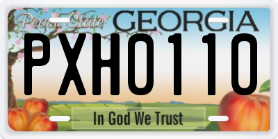 GA license plate PXH0110