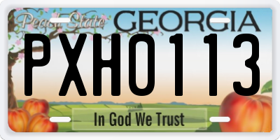 GA license plate PXH0113