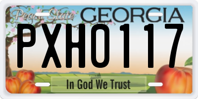 GA license plate PXH0117