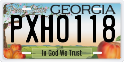 GA license plate PXH0118