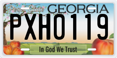 GA license plate PXH0119
