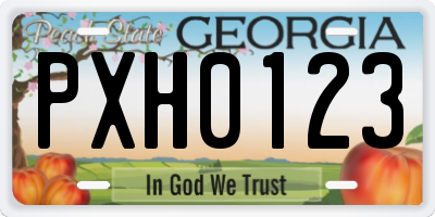 GA license plate PXH0123