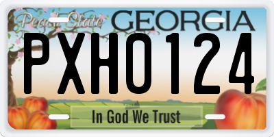 GA license plate PXH0124