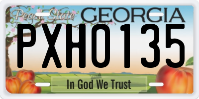 GA license plate PXH0135