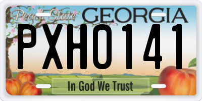 GA license plate PXH0141