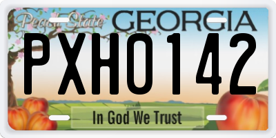 GA license plate PXH0142